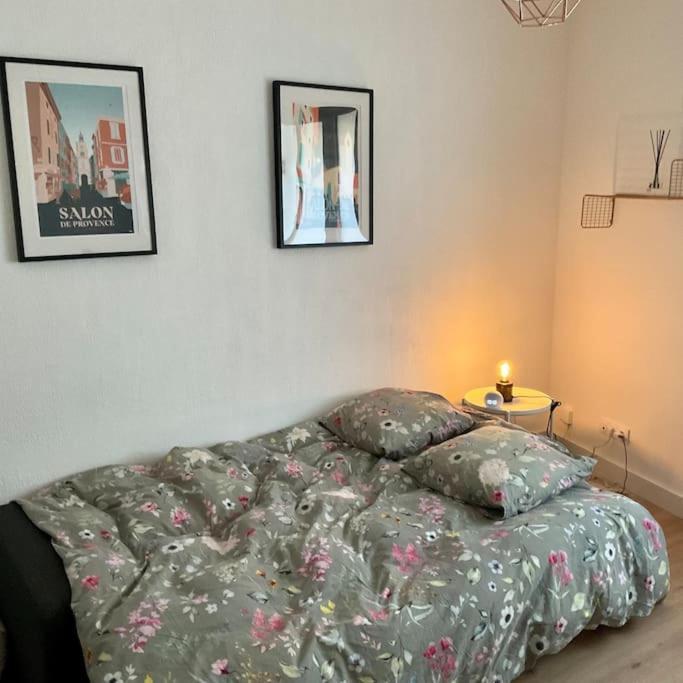 Appartement Hyper Centre Climatise Salon-de-Provence Dış mekan fotoğraf